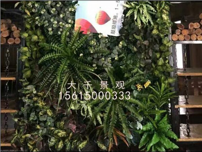 點擊查看詳細信息<br>標題：綠植墻 閱讀次數：1046